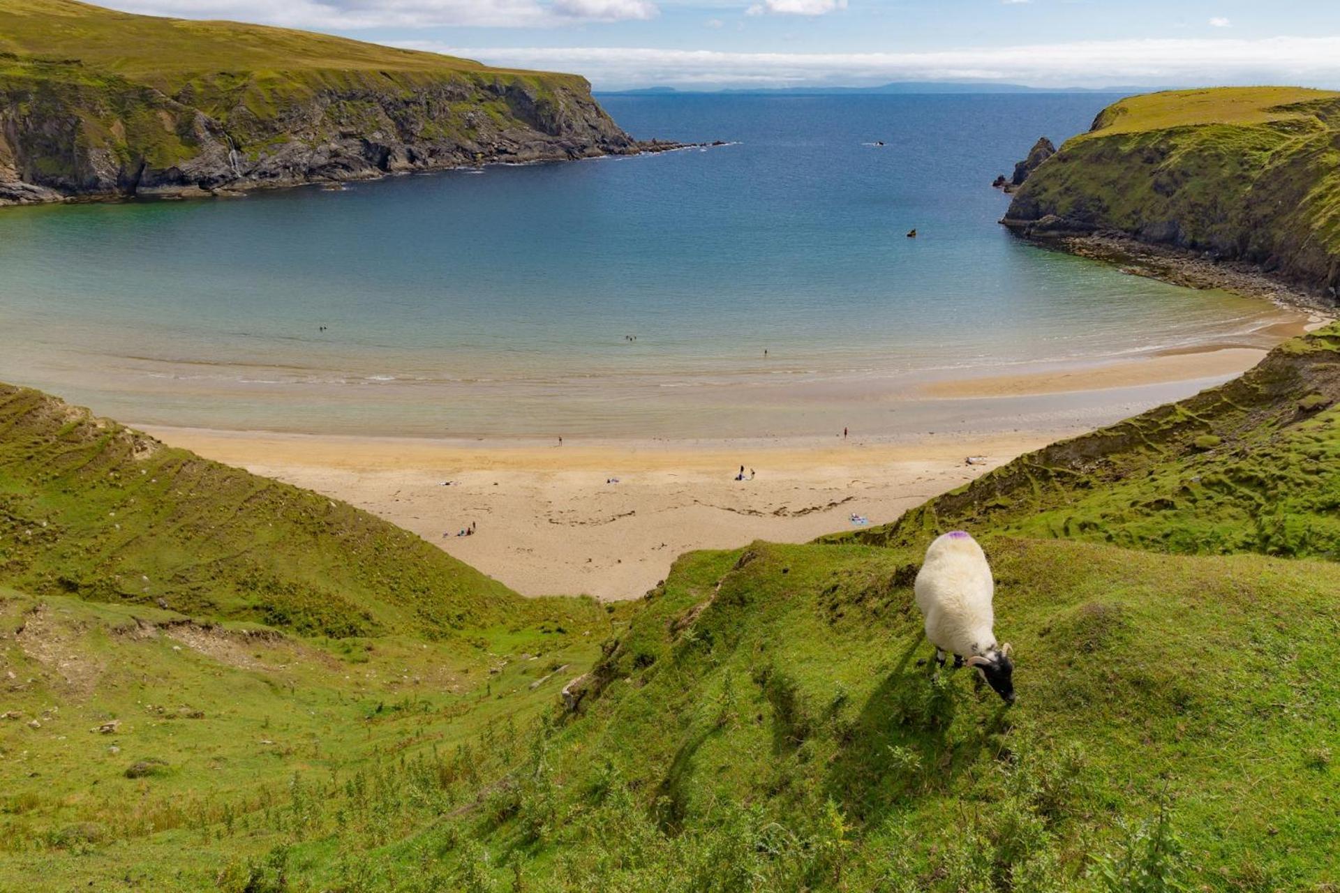 Hollies Hideaway Leilighet Donegal Town Eksteriør bilde